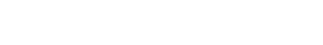 Travel Services Corporate